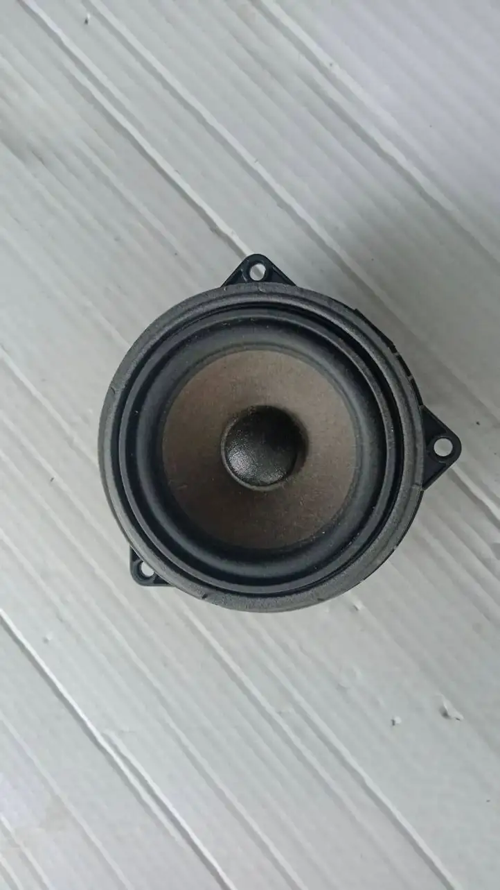 BMW 3 G20 G21 (2019 - )  2622469 Высокочастотный динамик задних дверей 