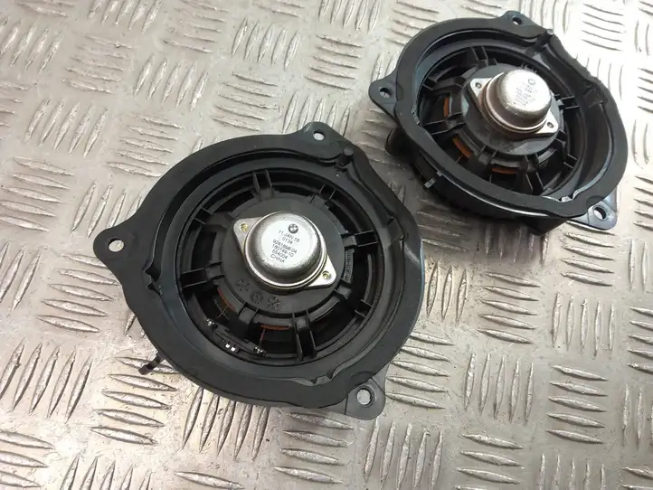 BMW X1 F48 F49 (2015 - 2022) 9281896 Динамики задних дверей — фото 8