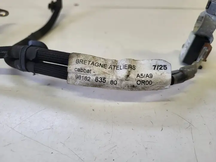 Opel Crossland X (2017 - 2020)   Минусовый провод (аккумулятора)