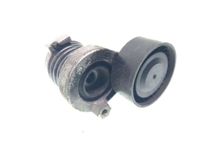 117504043R Nissan Qashqai Diržo įtempėjas