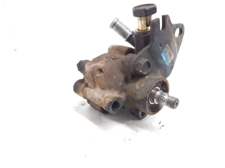 34211206 Nissan Sunny Vairo stiprintuvo siurblys