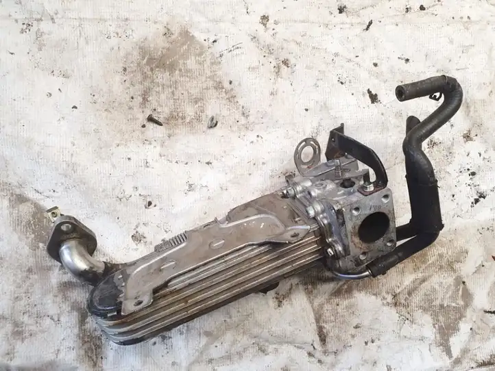 Volkswagen Touran I (2003 - 2010)  03g131063b Клапан EGR