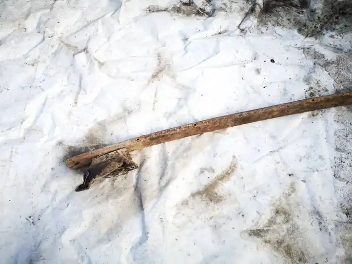 Nissan (2000 - 2006) Прочие внешние детали — фото 2