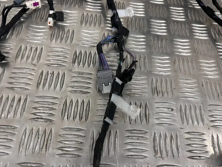 Tesla Model X (2015 - 2021) 103244391G Прочая электропроводка — фото 2
