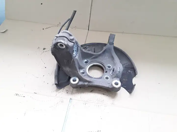 Volkswagen PASSAT B7 (2011 - 2014) RAU04 Передний поворотный кулак — фото 1