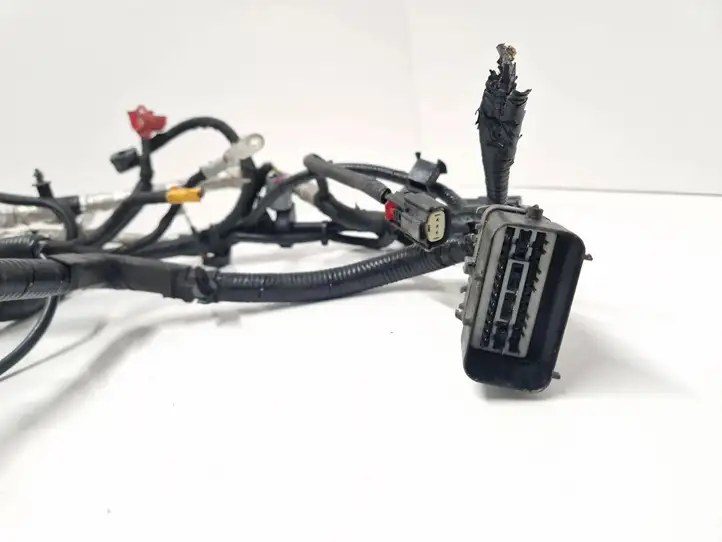 Ford Mondeo MK V (2014 - ) J1GT10C679AA Плюсовой провод аккумулятора — фото 4