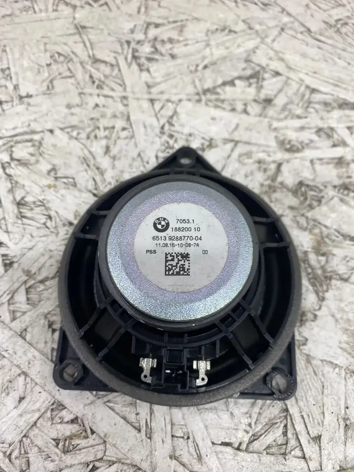 Mini Cooper Countryman R60 (2010 - 2016) 65139288770 Динамики передних дверей — фото 3