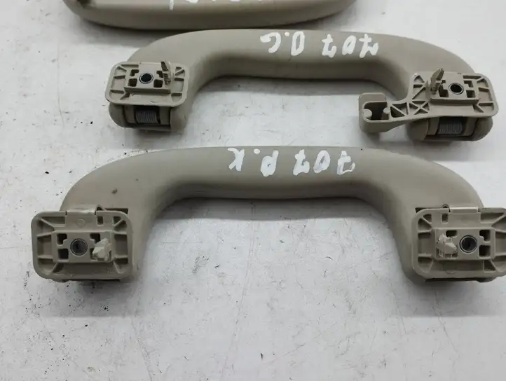 Opel Zafira A (1999 - 2003) 5001470005 Комплект потолочных ручек — фото 3