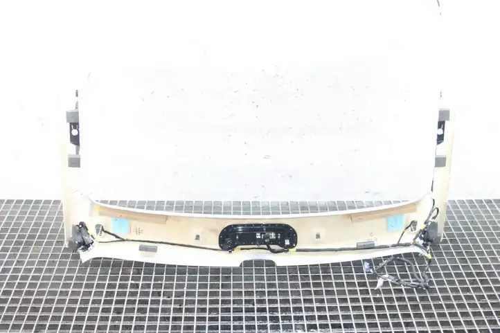 Tesla Model 3 (2017 - 2023) Потолочная обшивка — фото 5