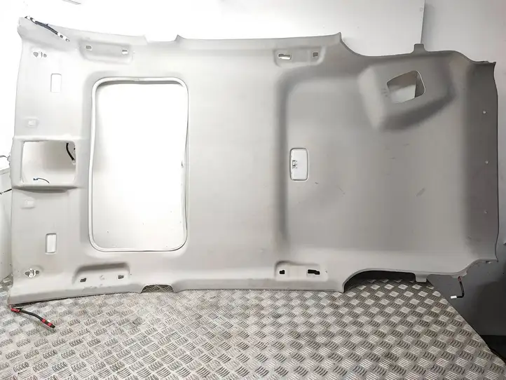 Toyota RAV 4 (XA40) (2012 - 2018) Потолочная обшивка — фото 1