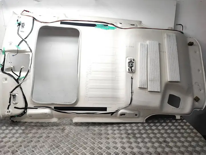Toyota RAV 4 (XA40) (2012 - 2018) Потолочная обшивка — фото 10