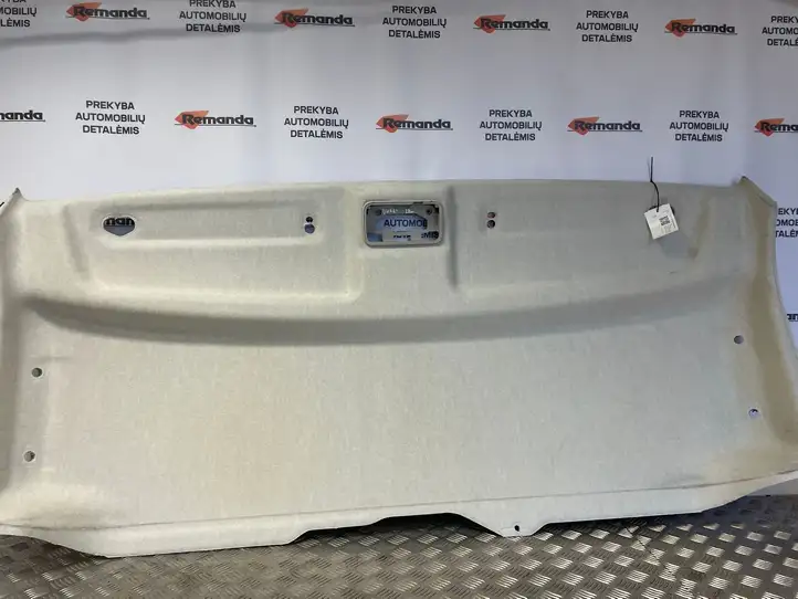 Fiat Ducato (2014 - ) Потолочная обшивка — фото 1