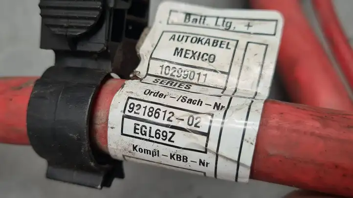BMW X5 E70 (2006 - 2013) 9218612 Плюсовой провод аккумулятора — фото 5
