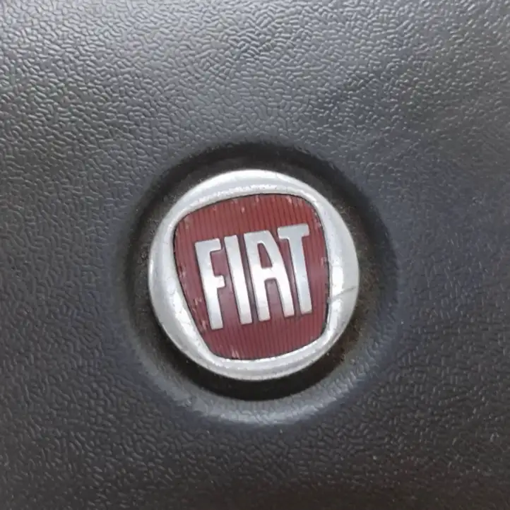 Fiat Doblo (2009 - 2015) 611001601A Подушка безопасности руля — фото 2