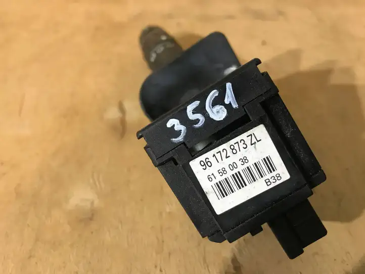 Citroen Xsara Picasso (1999 - 2012)  96172873ZL Ручка стеклоочистителей