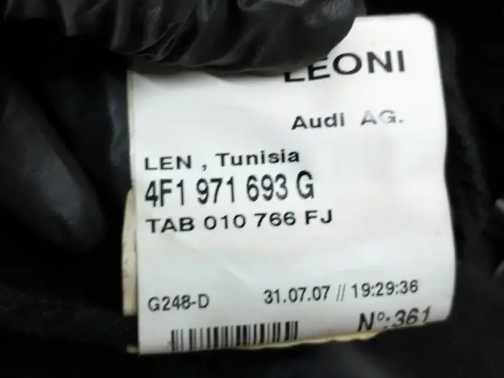 Audi A6 Allroad C6 (2006 - 2008) 4F0867305 Обшивка задней двери — фото 5