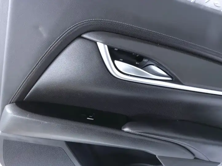 Cadillac XTS (2012 - 2017) 22952420 Обшивка задней двери — фото 4