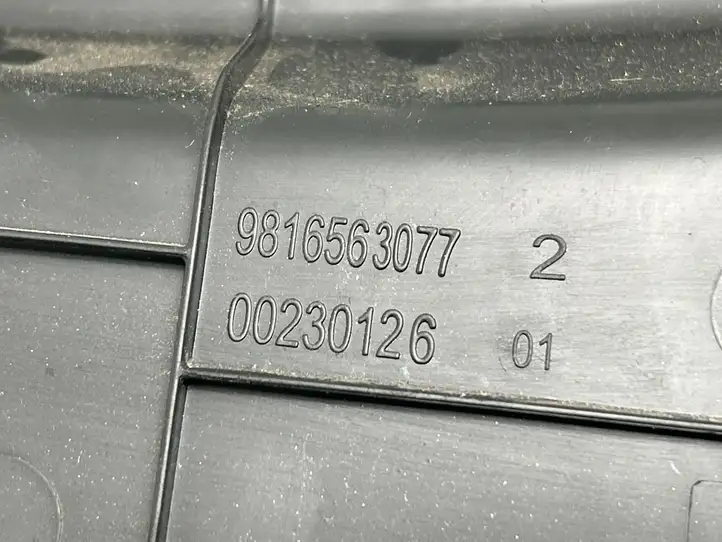 Citroen Berlingo (2018 - ) 9816563077 Прочие детали салона — фото 3