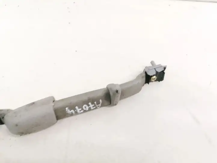 Nissan X-Trail T30 (2001 - 2007)   Задняя ручка