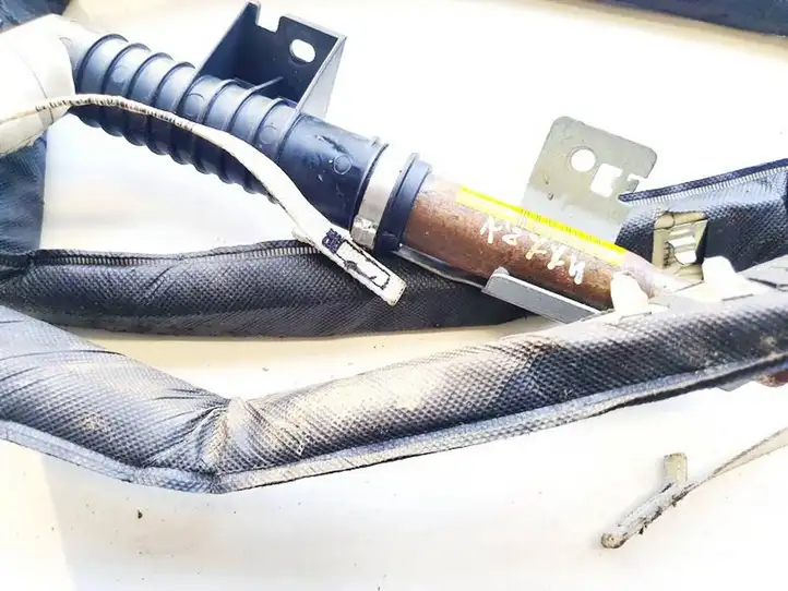 Renault Scenic II -  Grand scenic II (2003 - 2006)  8200130500 Боковая подушка безопастности( (крыша)