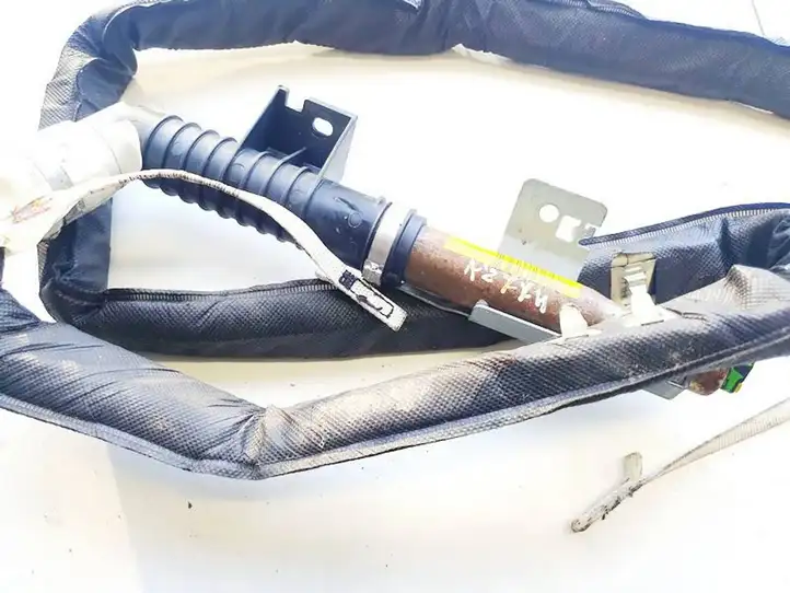 Renault Scenic II -  Grand scenic II (2003 - 2006)  8200130500 Боковая подушка безопастности( (крыша)