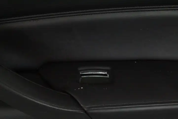 BMW X6 E71 (2008 - 2014) Обшивка передней двери — фото 6