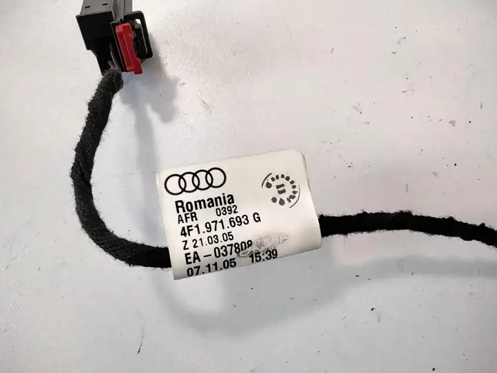 Audi A6 S6 C6 4F (2004 - 2008) 4F1971693G Обшивка задней двери — фото 1