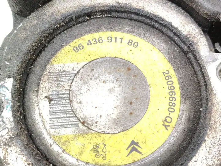 Citroen Xsara Picasso (1999 - 2012) 9643691180 Насос ГУР — фото 9