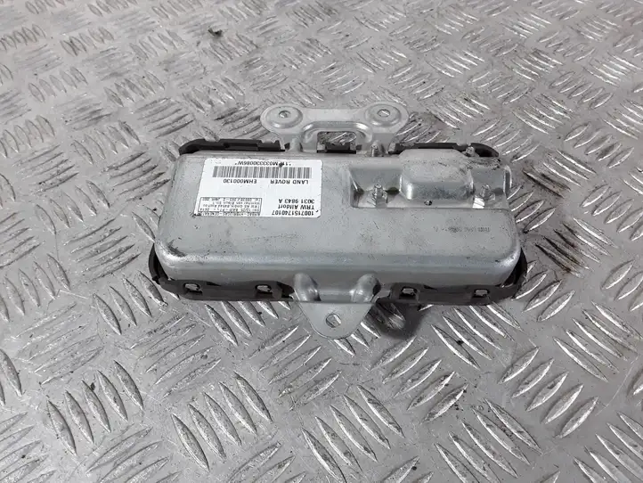 Land Rover Range Rover L322 (2009 - 2012) 1007151740107 Подушка безопасности двери — фото 6