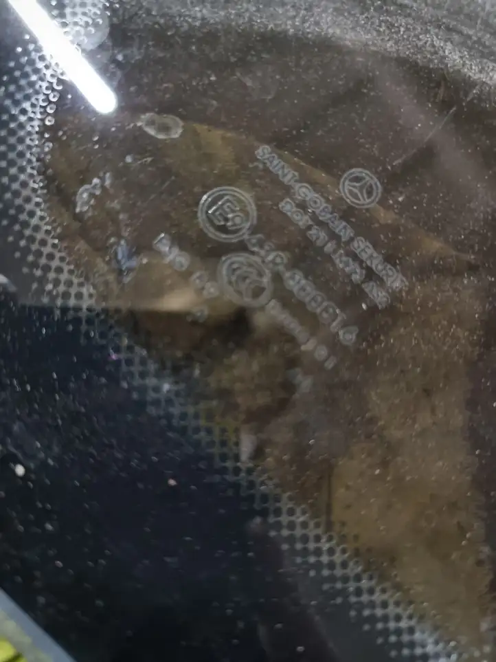 Mercedes-Benz Vito Viano W639 (2003 - 2010)  43R000016 Заднее боковое стекло кузова