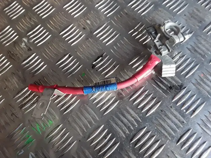 Opel Vivaro (2014 - 2018) 243866500 Плюсовой провод аккумулятора — фото 1