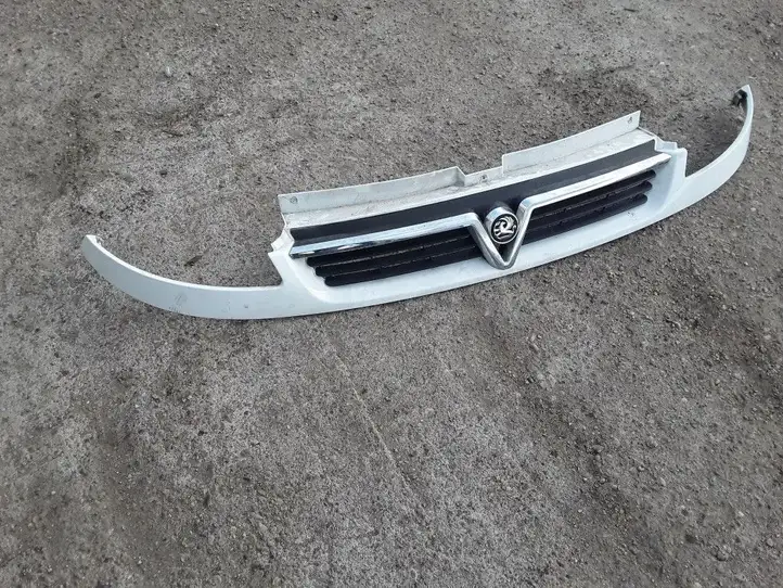 Opel Vivaro (2006 - 2014) 8200044885 Верхняя решетка радиатора — фото 1