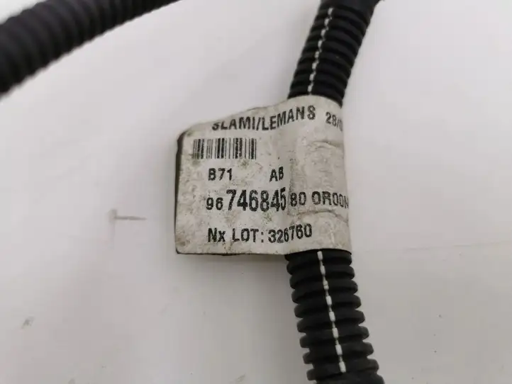 Citroen C4 (2011 - 2016) 9674684580 Прочая электропроводка — фото 6