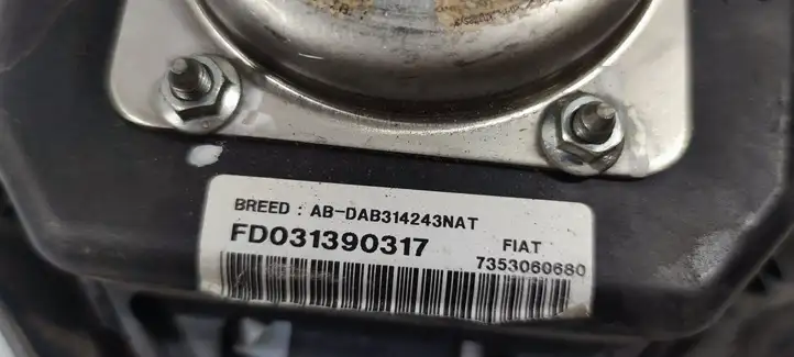 Fiat Ducato (2002 - 2006) 735306068 Подушка безопасности руля — фото 7