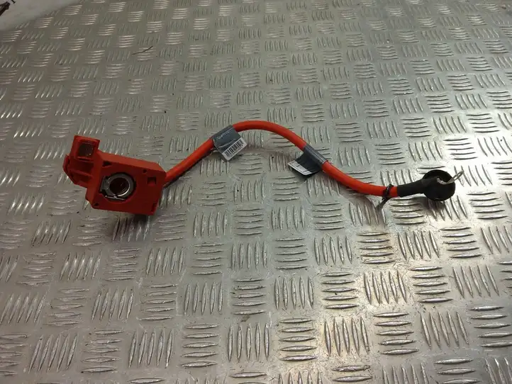 BMW 3 E90 E91 (2005 - 2012) 6988972 Плюсовой провод аккумулятора — фото 1