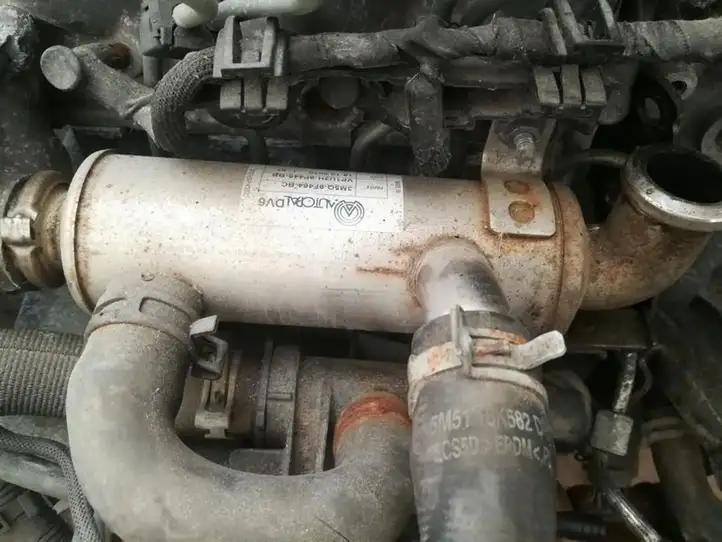 Ford Focus (2011 - 2015) 3M5Q9F464BC Охладитель клапана EGR — фото 1