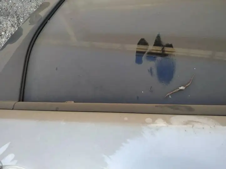 Ford Focus (2005 - 2008) Накладка стекла задней двери — фото 4