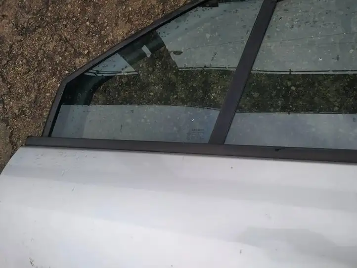 Renault Scenic II - Grand scenic II (2003 - 2006) Накладка стекла передней двери — фото 4