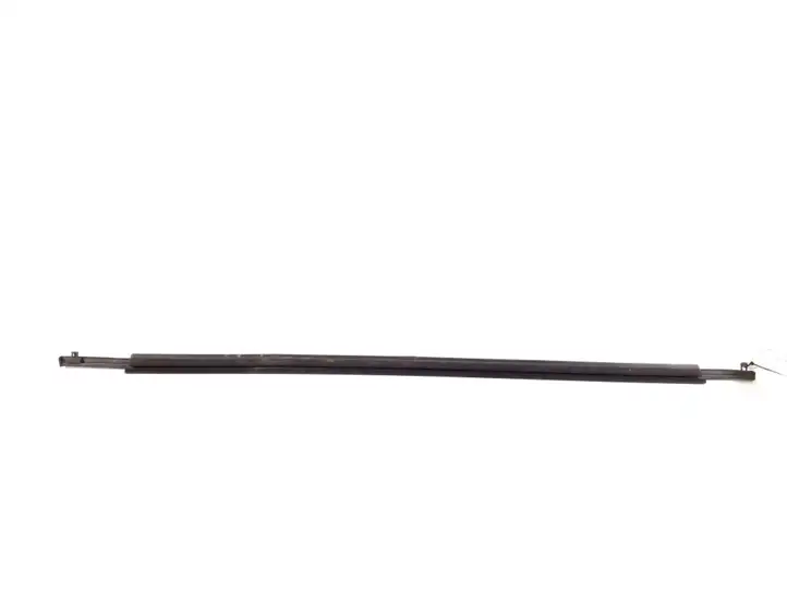 Toyota Corolla Verso AR10 (2004 - 2009) 75740-64010 Молдинги задней двери — фото 3