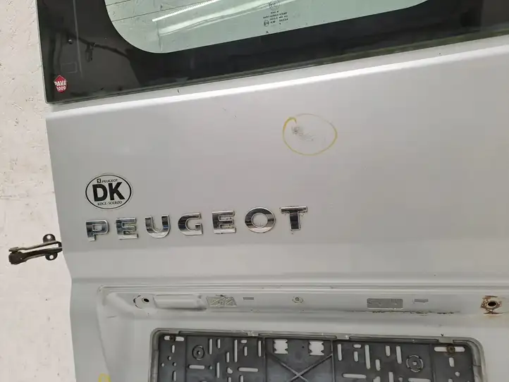 Peugeot Boxer (2007 - 2014) Багажная дверь — фото 8