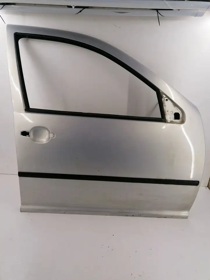 Volkswagen Golf IV (1998 - 2005) Дверь — фото 1