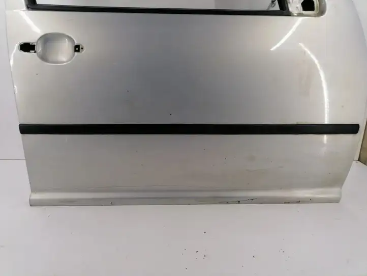 Volkswagen Golf IV (1998 - 2005) Дверь — фото 2