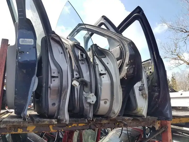 Citroen Xsara Picasso (1999 - 2012) MELYNOS Дверь — фото 1