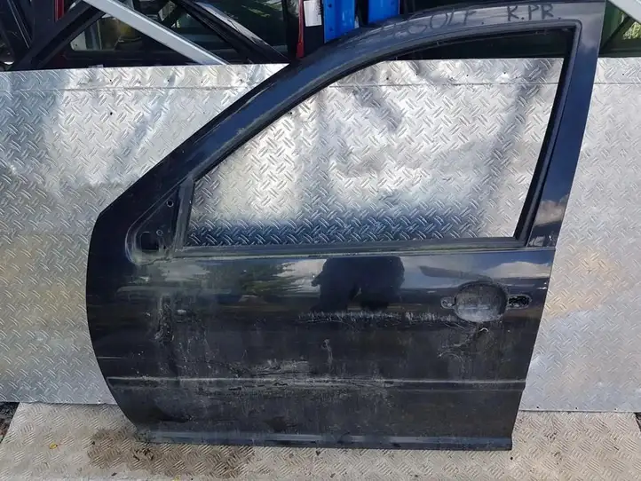 Volkswagen Golf IV (1998 - 2005) Дверь — фото 1