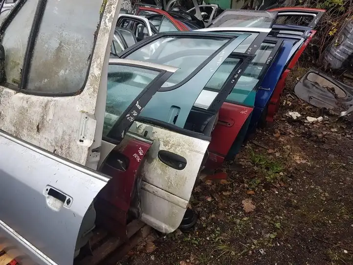 Renault Scenic I (1996 - 2003) Дверь — фото 1
