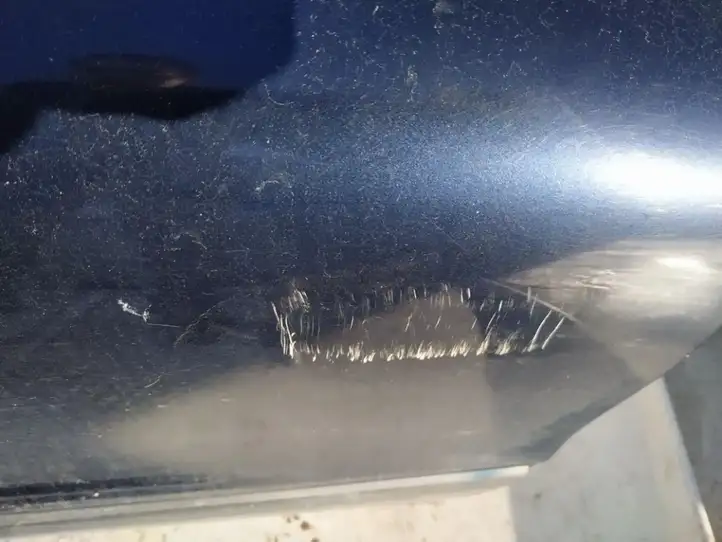 Volvo S80 (1998 - 2004) Дверь — фото 3
