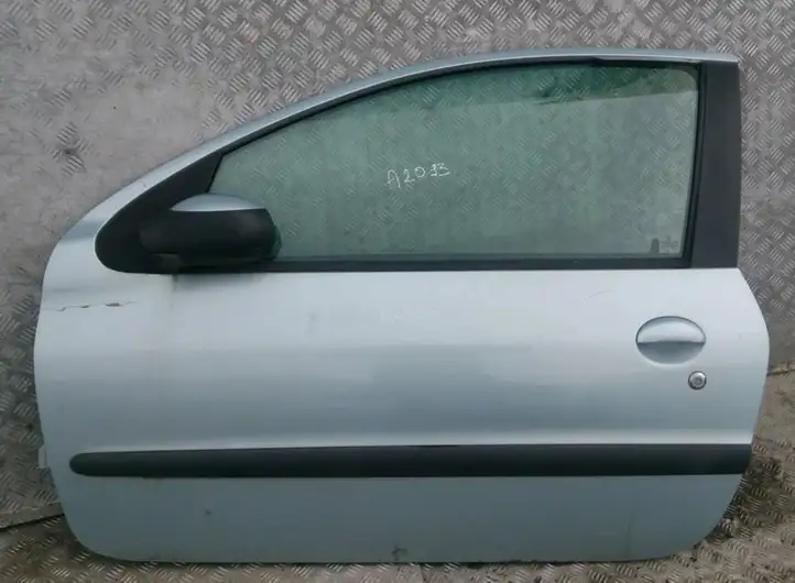 Peugeot 206 (1998 - 2012) Дверь — фото 1
