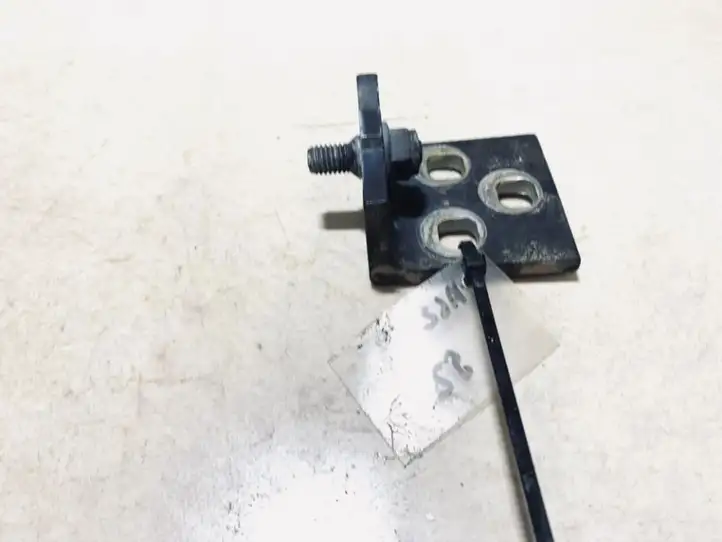 Saab 9-5 (1998 - 2005) Нижняя петля задней двери — фото 2