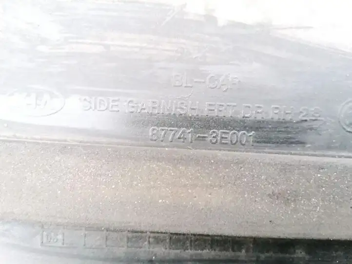 Kia Sorento (2002 - 2006) 877413E001 Молдинг передней двери — фото 3