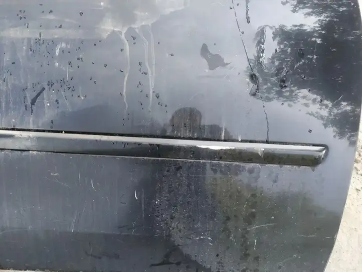 Hyundai Sonata (2003 - 2007)   Отделка (молдинг) передней двери